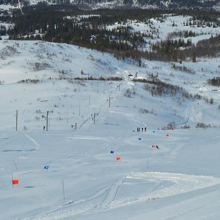 Blasjoens Stugby Stora Blasjon Экстерьер фото